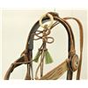 Image 2 : Rawlins Horsehair Bridle