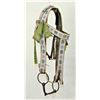 Image 1 : Native American Beaded Bridle