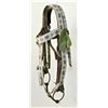 Image 2 : Native American Beaded Bridle