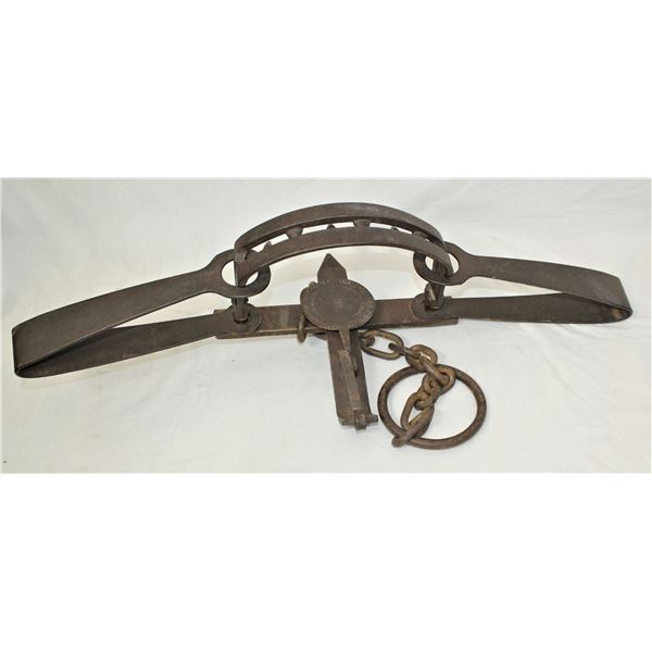 Oneida Newhouse #15 Beartrap