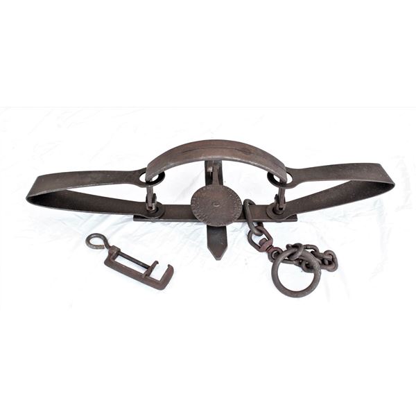 Newhouse #6 Bear Trap