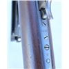 Image 9 : Fine Winchester 1895 Saddle Ring Carbine