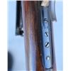 Image 7 : Scarce Antique Special Order Winchester 1895 Rifle