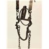 Image 4 : Navajo Silver Headstall