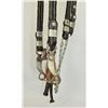 Image 3 : Magnificent Canon City Horsehair Bridle