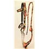 Image 1 : Outstanding Canon City Prison Bridle
