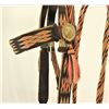 Image 4 : Outstanding Canon City Prison Bridle