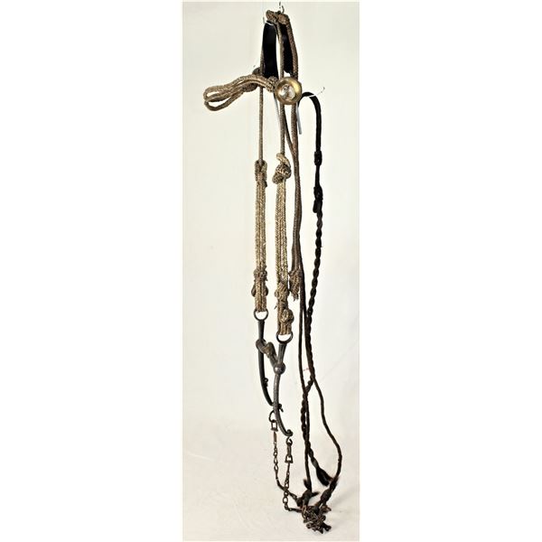 Leather Braided Bridle