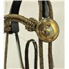 Image 4 : Leather Braided Bridle