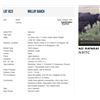 Image 1 : Mulloy Ranch - 220 Steers Base Weight: 525