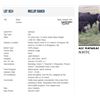Image 1 : Mulloy Ranch - 180 Steers Base Weight: 600