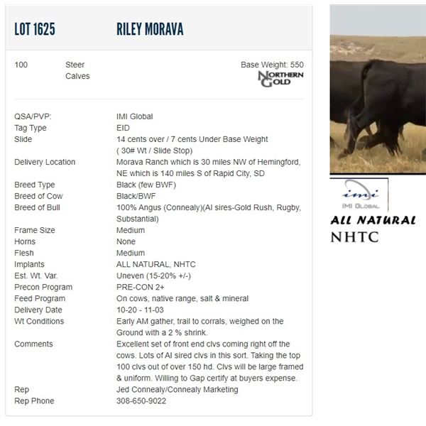 Riley Morava - 100 Steers Base Weight: 550