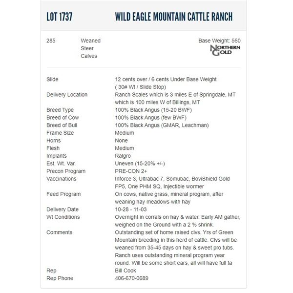 Wild Eagle Mountain Cattle Ranch - 285 Weaned Steers Base Weight: 560