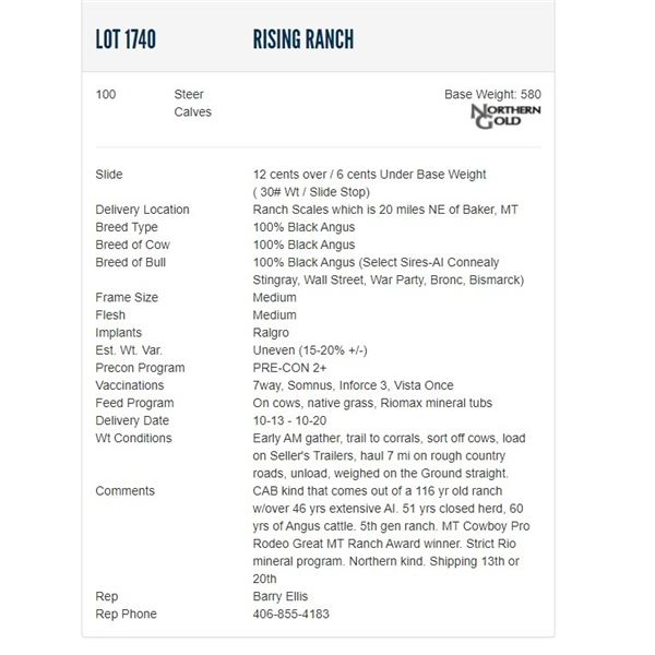 Rising Ranch - 100 Steers Base Weight: 580