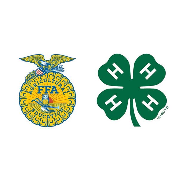 Maverick Sorensen - Market Swine (Tag ID: 490H)