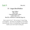 Image 1 : 33 - Angus Bred Heifers