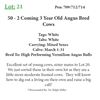Image 1 : 57 - 2 Coming 3 Year Old Angus Bred Cows