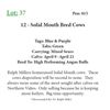Image 1 : 11 - Solid Mouth Bred Cows