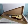 Image 1 : Sierra Model No S713 Guitar (epiphone? on box)