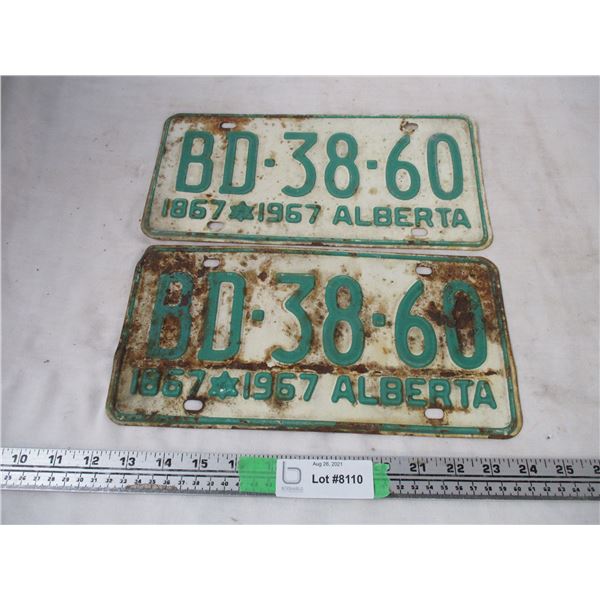 pair of 1867-1967 Alberta license plates