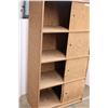 Image 4 : 4 sliding door cabinet (60" tall, 31"x16")