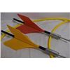 Image 2 : Lawn Dart game