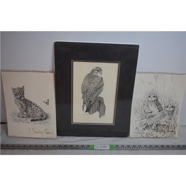 Art Prints - J Sharkey Thomas