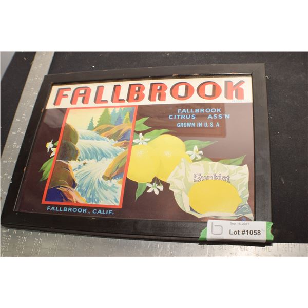 FRAMED SUNKIST   PICTURE