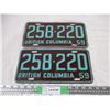 Image 1 : Pair of 1959 BC License Plates (2)