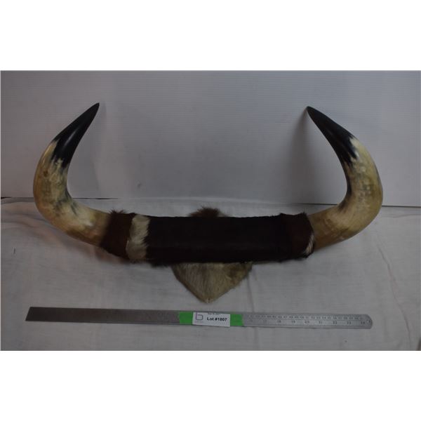 BullHorn wall art piece