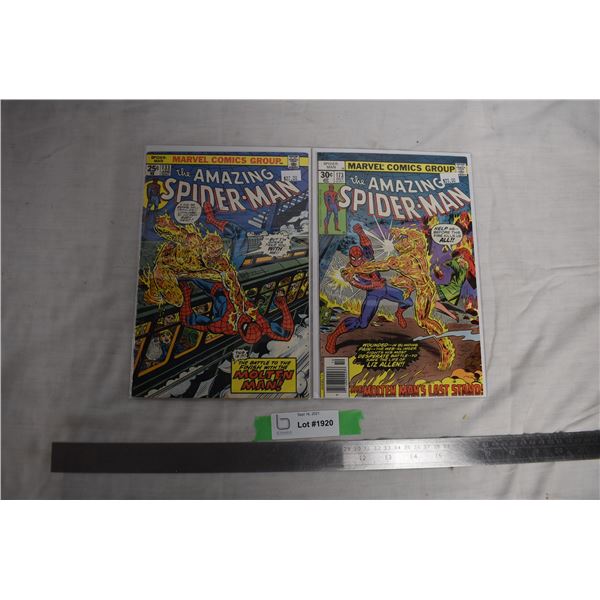 Amazing Spiderman early issue comics - #133 + 173