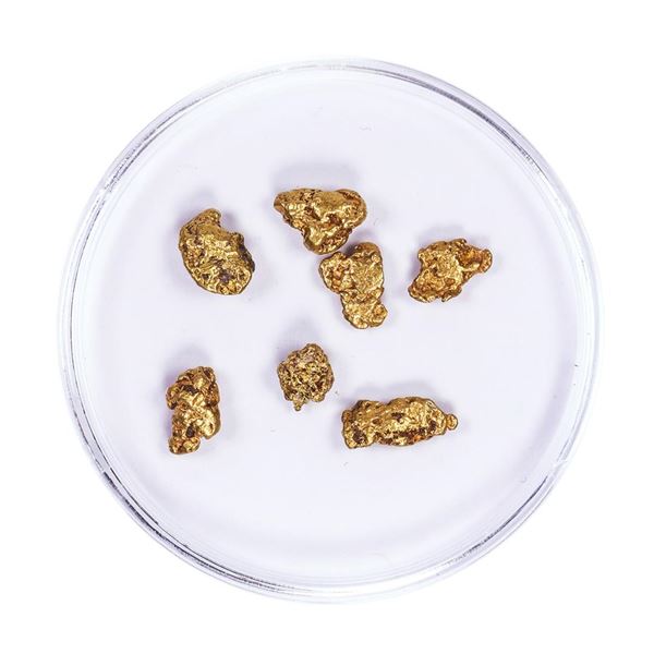 Lot of Gold Nuggets 3.26 grams Total Weight