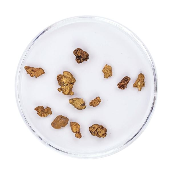 Lot of Gold Nuggets 2.00 Grams Total Weight