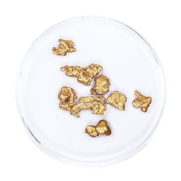 Lot of Gold Nuggets 3.44 grams Total Weight