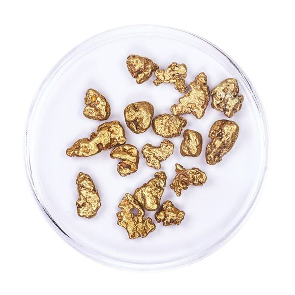 Lot of Gold Nuggets 8.57 grams Total Weight