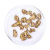 Image 1 : Lot of Gold Nuggets 8.57 grams Total Weight