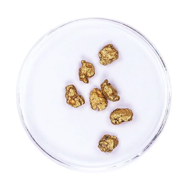 Lot of Gold Nuggets 2.86 grams Total Weight