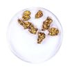Image 2 : Lot of Gold Nuggets 7.22 Grams Total Weight