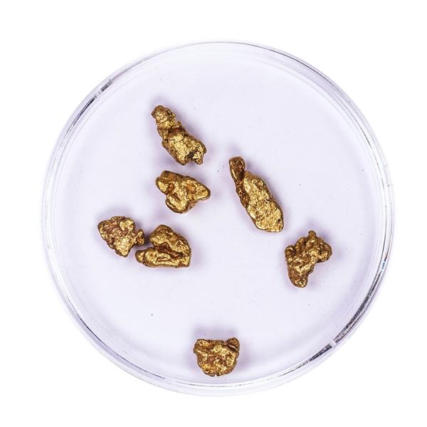 Lot of Gold Nuggets 3.81 grams Total Weight