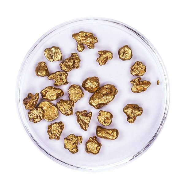 Lot of Gold Nuggets 7.86 grams Total Weight