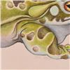 Image 2 : Bragg "River Toad" Original Pencil On Paper