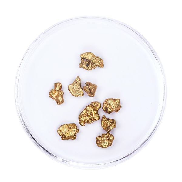 Lot of Gold Nuggets 3.54 grams Total Weight