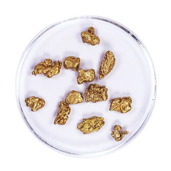 Lot of Gold Nuggets 5.55 grams Total Weight