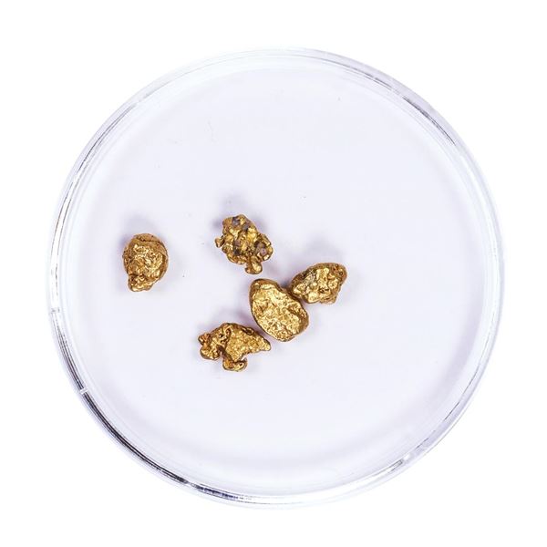 Lot of Gold Nuggets 2.26 grams Total Weight