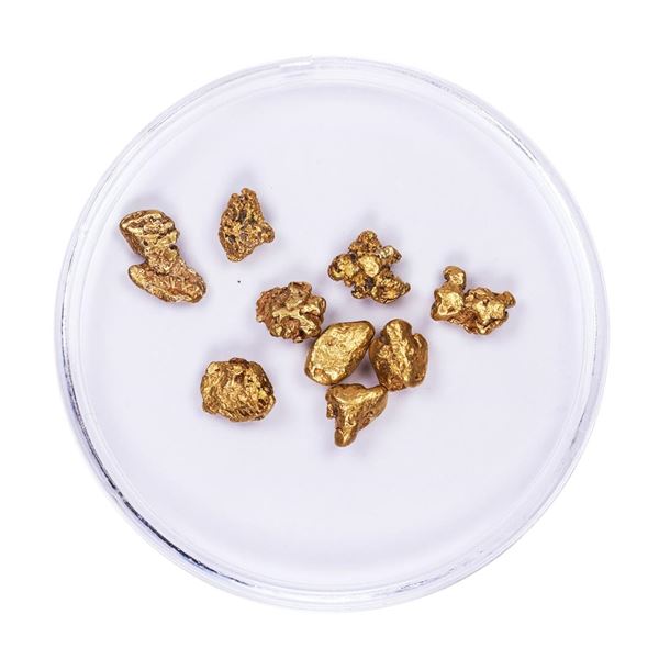 Lot of Gold Nuggets 3.65 grams Total Weight