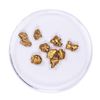 Image 1 : Lot of Gold Nuggets 3.65 grams Total Weight