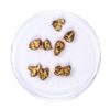 Image 1 : Lot of Gold Nuggets 3.87 grams Total Weight