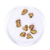 Image 2 : Lot of Gold Nuggets 3.87 grams Total Weight