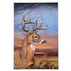 Image 1 : Martin Katon "Stunning Stag" Limited Edition Giclee On Canvas