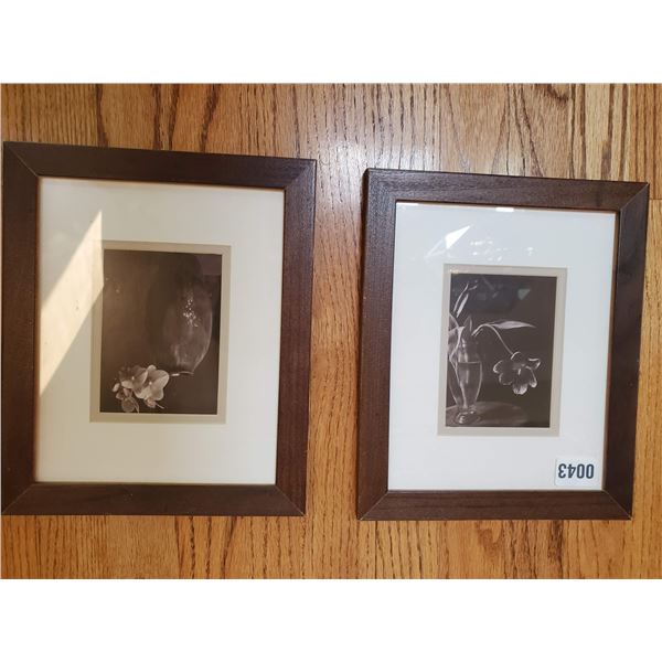 Set of 2 Framed Prints